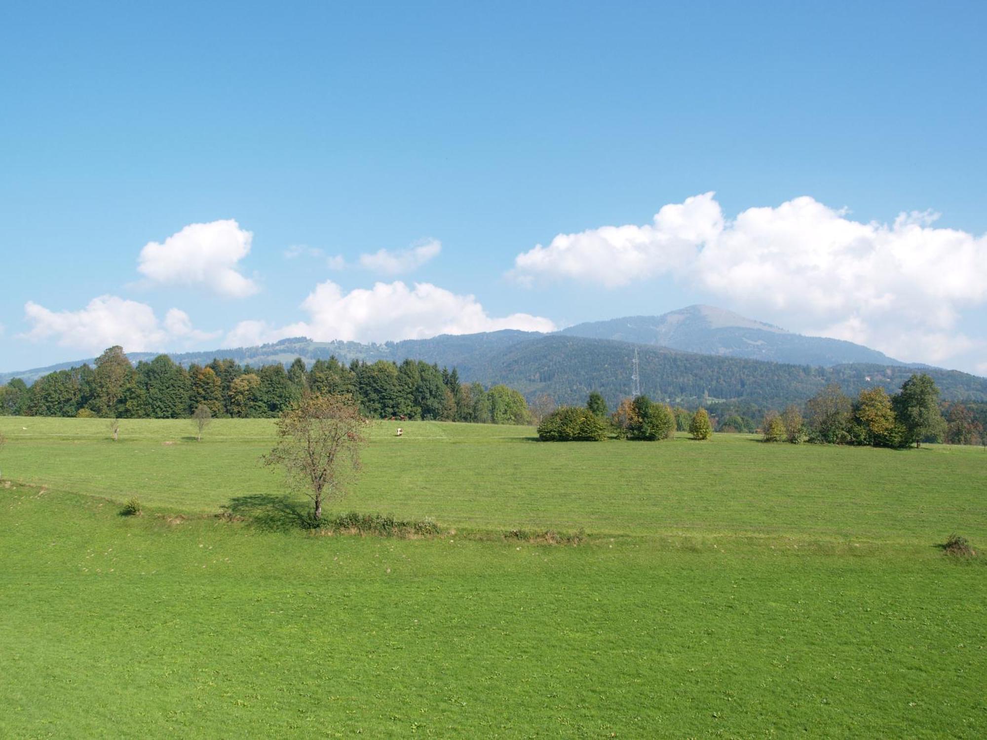 Neuwirt - Boutiquehotel & Wirtshaus 4* Bad Vigaun